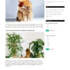 دانلود اسکریپت مجله خبری Varient-News-Magazine Script