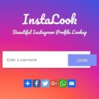 دانلود اسکریپت دانلودر InstaLook-Instagram Profile Lookup Script