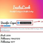 دانلود اسکریپت دانلودر InstaLook-Instagram Profile Lookup Script