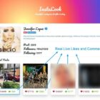 دانلود اسکریپت دانلودر InstaLook-Instagram Profile Lookup Script