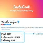 دانلود اسکریپت دانلودر InstaLook-Instagram Profile Lookup Script