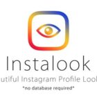 دانلود اسکریپت دانلودر InstaLook-Instagram Profile Lookup Script