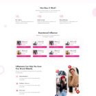 دانلود اسکریپت اینفلوئنسر مارکتینگ InfluencerFly-Promotional Marketplace