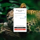 دانلود اسکریپت اشتراک گذاری عکس Chevereto Pro-Image Hosting Software