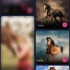 دانلود اپلیکیشن والپیپر اندروید Android Wallpapers App