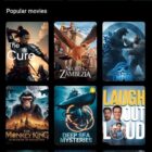 دانلود اپلیکیشن فیلم و سریال فلاتر Streamit-OTT Streaming Flutter App