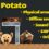 دانلود بازی اچ تی ام ال Angry Potato html5 game
