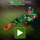 دانلود بازی اچ تی ام ال Cricket Batter Challenge-HTML5 Sport Game