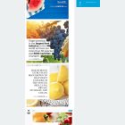 دانلود اسکریپت انجمن Simple Forum-Responsive Bulletin Board