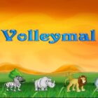 دانلود بازی اچ تی ام ال Volleymal-HTML5 Sport Games
