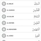 دانلود اپلیکیشن ادیان فلاتر Zabi Islamic Flutter-Android ISO App