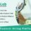 دانلود اسکریپت اینفلوئنسر InfuLab-Influencer Hiring Platform