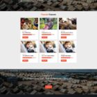 دانلود اسکریپت تامین مالی Charity-Nonprofit Charity Foundation System