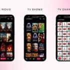 دانلود اسکریپت و اپلیکیشن فیلم و سریال فلاتر Flixoo-AI-Powered OTT CMS