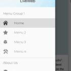 دانلود اپلیکیشن وب ویو اندروید Liveweb Android Webview App-Admin Panel