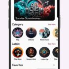 دانلود اپلیکیشن رادیو فلاتر Radio Online-Flutter Full App
