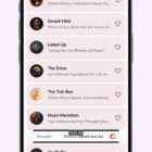 دانلود اپلیکیشن رادیو فلاتر Radio Online-Flutter Full App