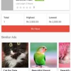 دانلود اپلیکیشن لیست اندروید AdForest-Classified Native Android App