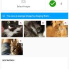 دانلود اپلیکیشن لیست اندروید AdForest-Classified Native Android App