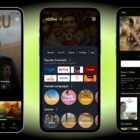 دانلود اپلیکیشن فیلم و سریال فلاتر DTLive-Movie-TV Show-OTT-Live TV