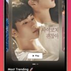 دانلود اپلیکیشن استریم اندروید StoryBox-Short Drama-Web Series Video