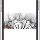 دانلود اپلیکیشن بیلدر اندروید Ultimate Thumbnail Maker-Instagram thumb