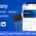 دانلود اپلیکیشن مالی فلاتر OvoPay-Complete Cross Platform MFS Solution