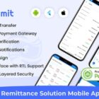 دانلود اپلیکیشن مالی فلاتر ViserRemit-Cross Platform Ultimate Remittance