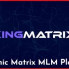 دانلود اسکریپت مارکتینگ KingMatrix-Dynamic Matrix MLM Platform